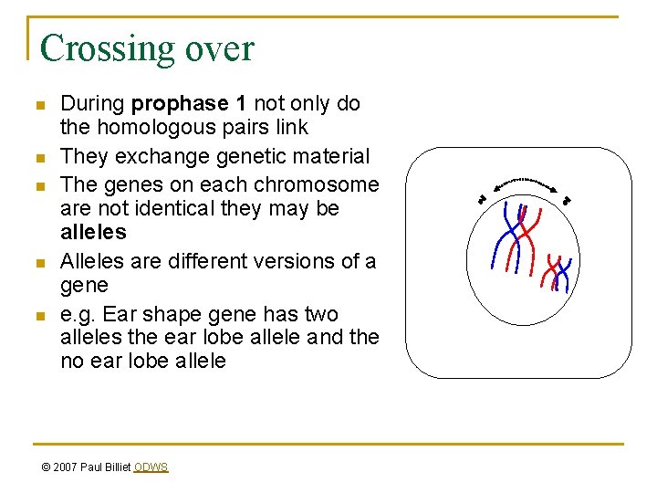 Crossing over n n n During prophase 1 not only do the homologous pairs