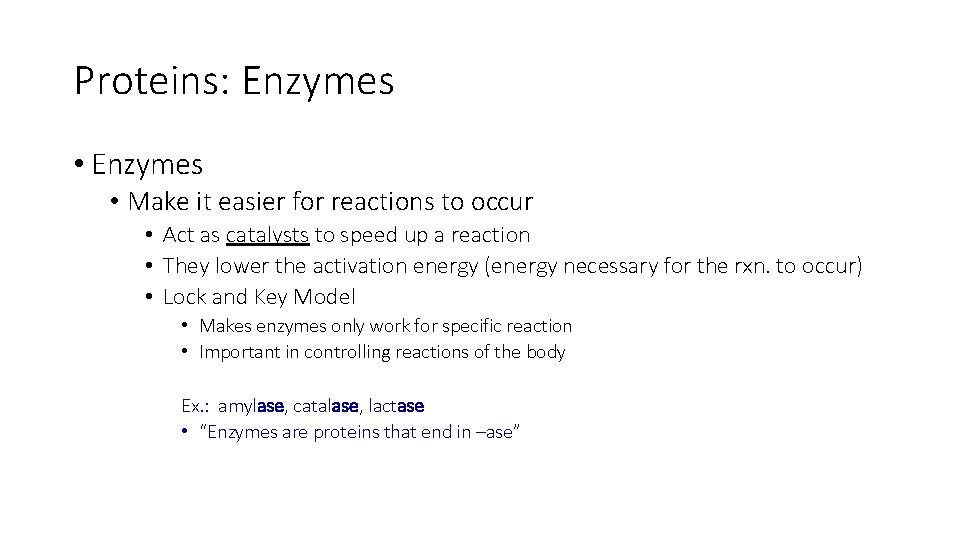 Proteins: Enzymes • Make it easier for reactions to occur • Act as catalysts