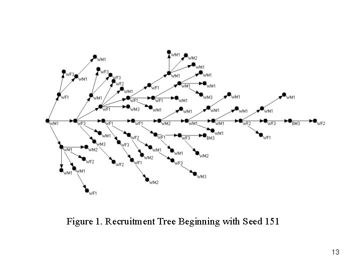 Figure 1. Recruitment Tree Beginning with Seed 151 13 