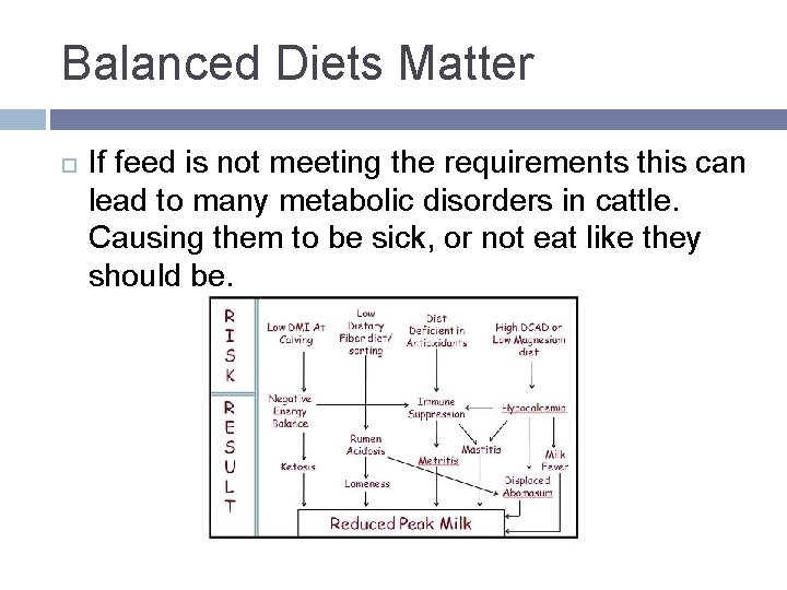 Balanced Diets Matter If feed is not meeting the requirements this can lead to