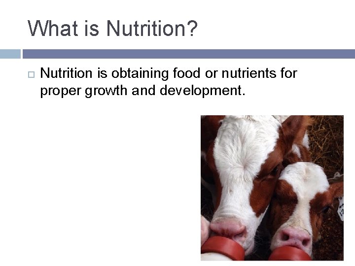 What is Nutrition? Nutrition is obtaining food or nutrients for proper growth and development.