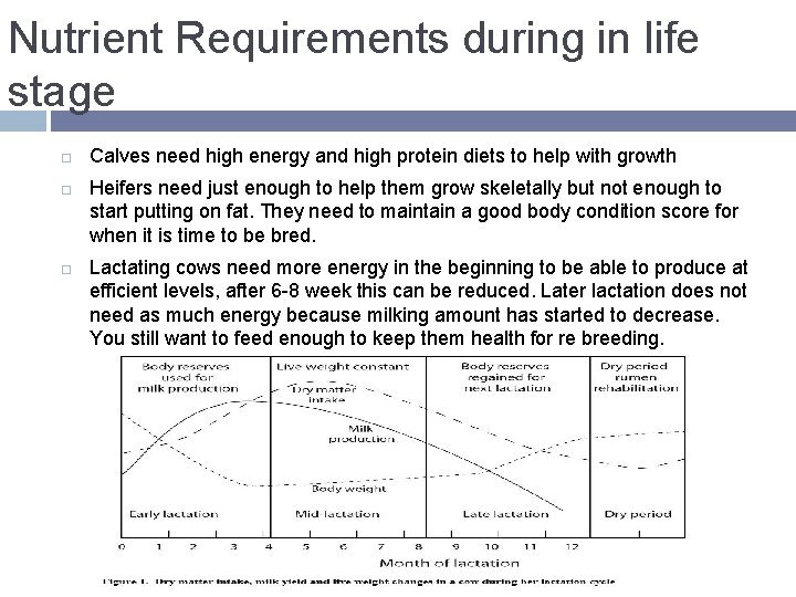 Nutrient Requirements during in life stage Calves need high energy and high protein diets