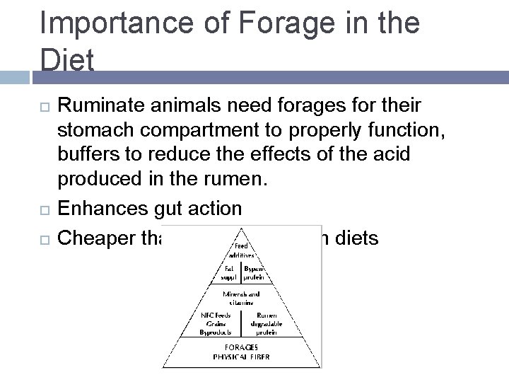 Importance of Forage in the Diet Ruminate animals need forages for their stomach compartment