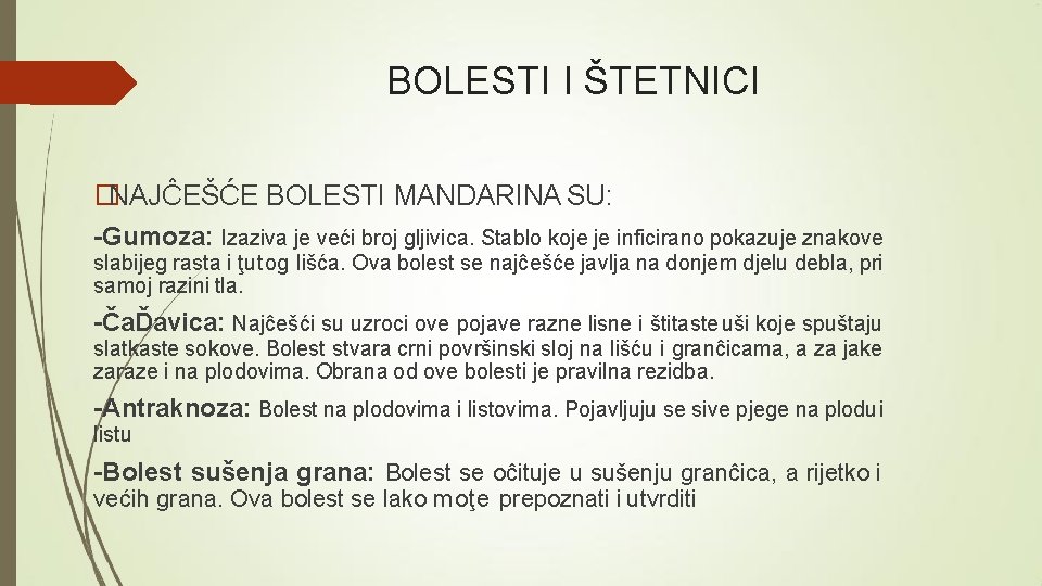 BOLESTI I ŠTETNICI �NAJĈEŠĆE BOLESTI MANDARINA SU: -Gumoza: Izaziva je veći broj gljivica. Stablo