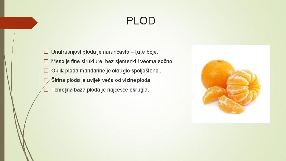 PLOD � Unutrašnjost ploda je naranĉasto – ţute boje. � Meso je fine strukture,
