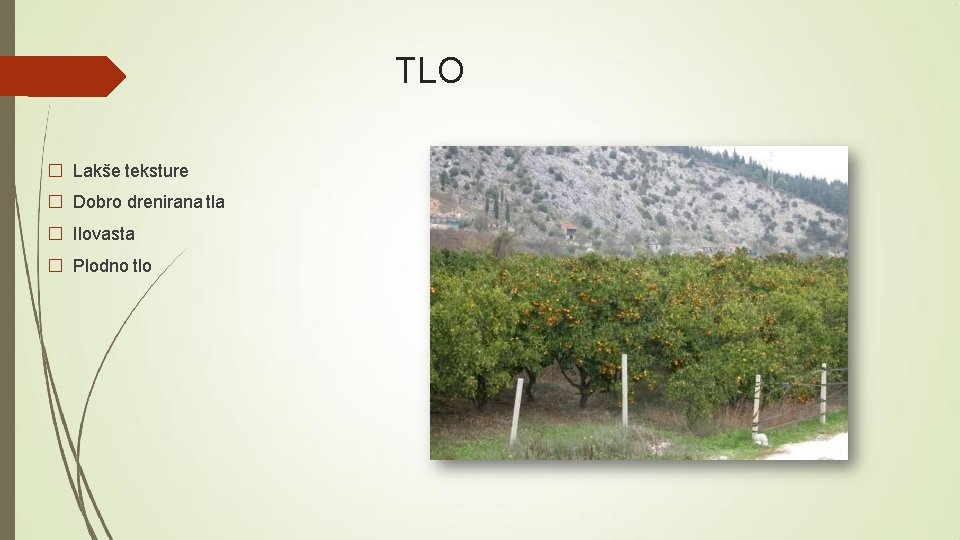 TLO � Lakše teksture � Dobro drenirana tla � Ilovasta � Plodno tlo 