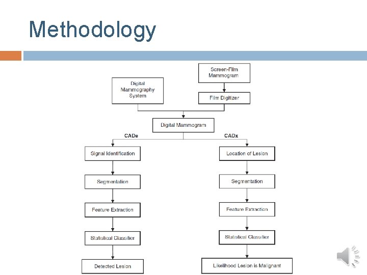 Methodology Methodology