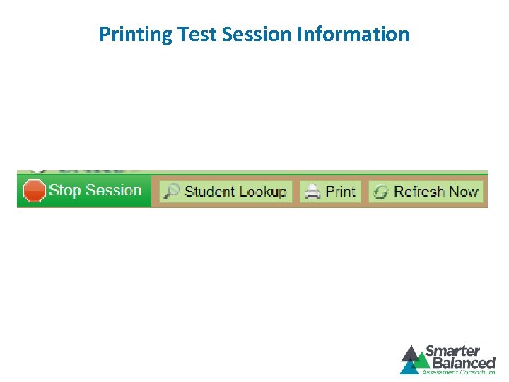 Printing Test Session Information 