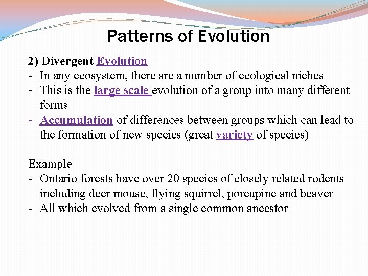 Patterns of Evolution 2) Divergent Evolution - In any ecosystem, there a number of