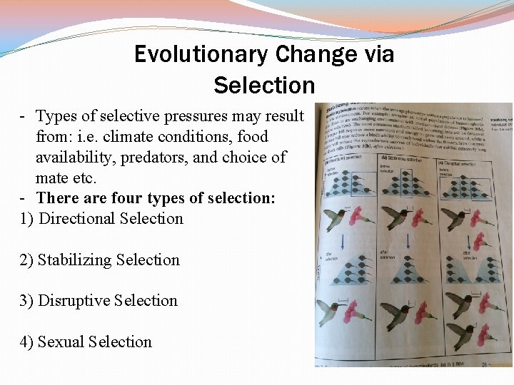 Evolutionary Change via Selection - Types of selective pressures may result from: i. e.