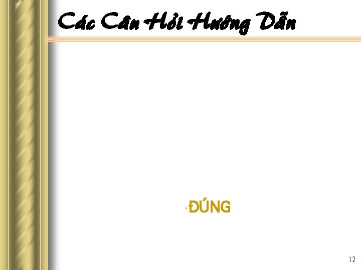 Caùc Caâu Hoûi Höôùng Daãn • ÑUÙNG 12 