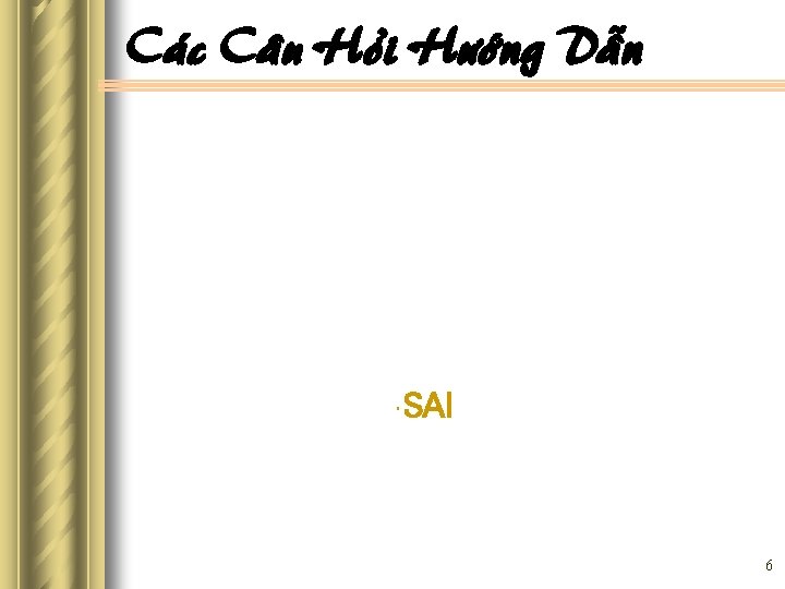 Caùc Caâu Hoûi Höôùng Daãn • SAI 6 