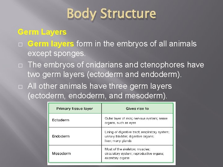 Body Structure Germ Layers � Germ layers form in the embryos of all animals