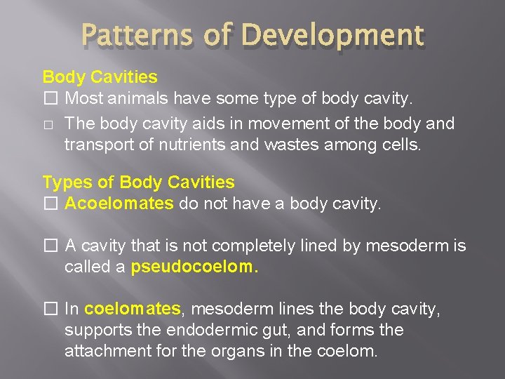 Patterns of Development Body Cavities � Most animals have some type of body cavity.