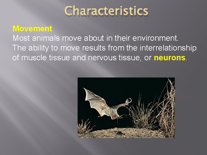 Characteristics Movement Most animals move about in their environment. The ability to move results