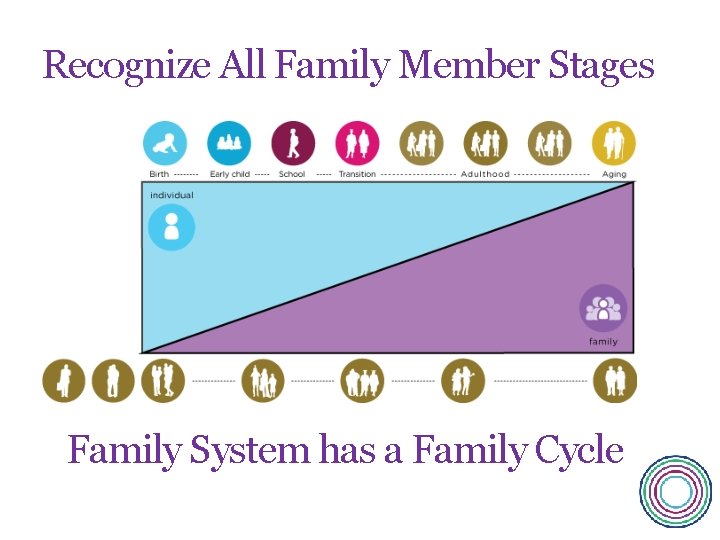 Recognize All Family Member Stages Family System has a Family Cycle 