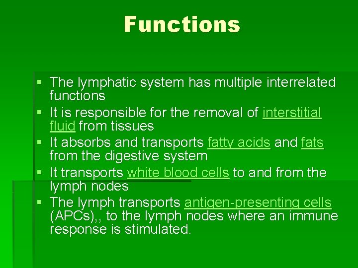 Functions § The lymphatic system has multiple interrelated functions § It is responsible for