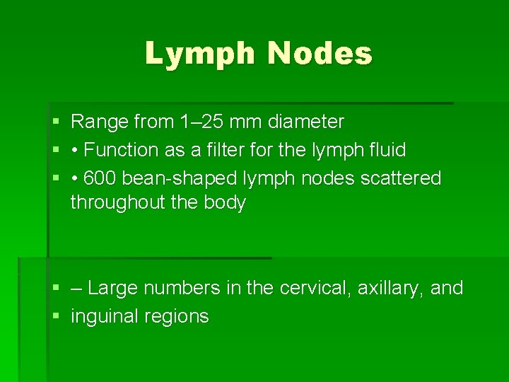 Lymph Nodes § Range from 1– 25 mm diameter § • Function as a