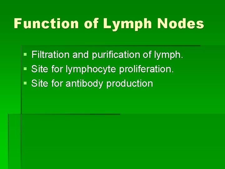 Function of Lymph Nodes § § § Filtration and purification of lymph. Site for