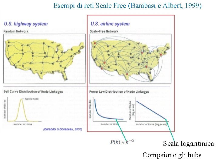 Esempi di reti Scale Free (Barabasi e Albert, 1999) Scala logaritmica Compaiono gli hubs