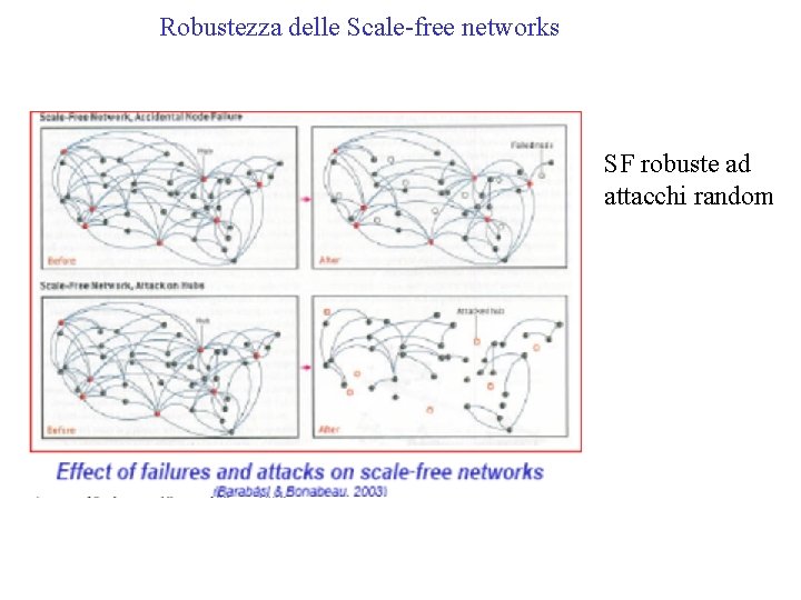 Robustezza delle Scale-free networks SF robuste ad attacchi random 