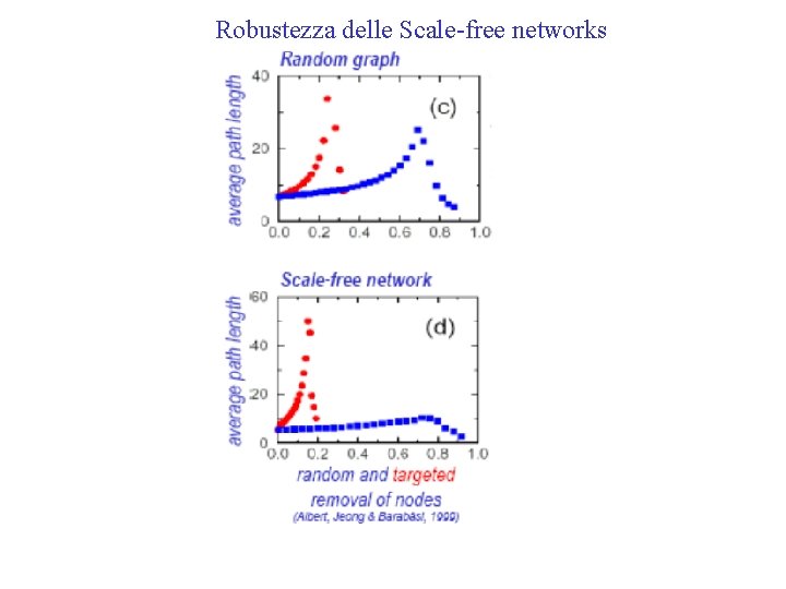 Robustezza delle Scale-free networks 