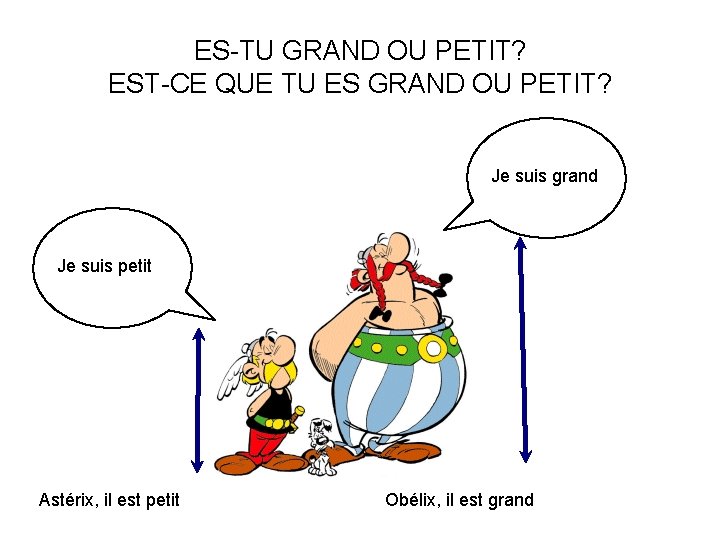 ES-TU GRAND OU PETIT? EST-CE QUE TU ES GRAND OU PETIT? Je suis grand