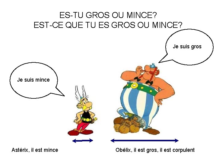ES-TU GROS OU MINCE? EST-CE QUE TU ES GROS OU MINCE? Je suis gros