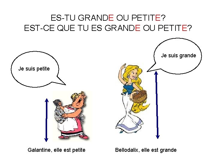 ES-TU GRANDE OU PETITE? EST-CE QUE TU ES GRANDE OU PETITE? Je suis grande