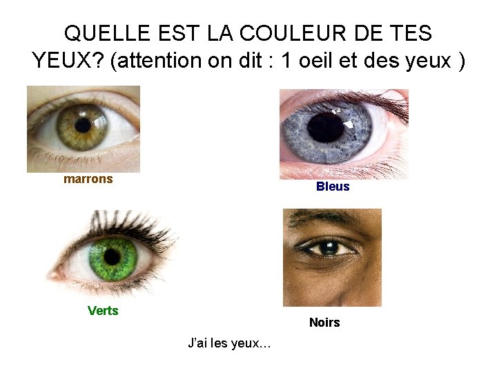 QUELLE EST LA COULEUR DE TES YEUX? (attention on dit : 1 oeil et