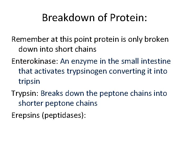 Breakdown of Protein: Remember at this point protein is only broken down into short