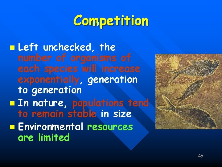 Competition Left unchecked, the number of organisms of each species will increase exponentially, generation