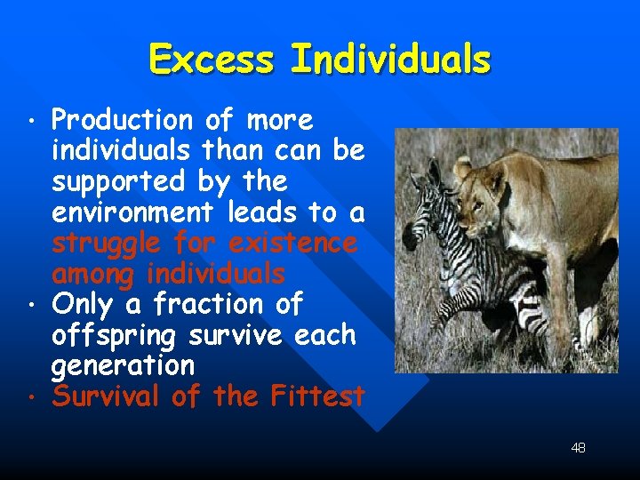 Excess Individuals • • • Production of more individuals than can be supported by