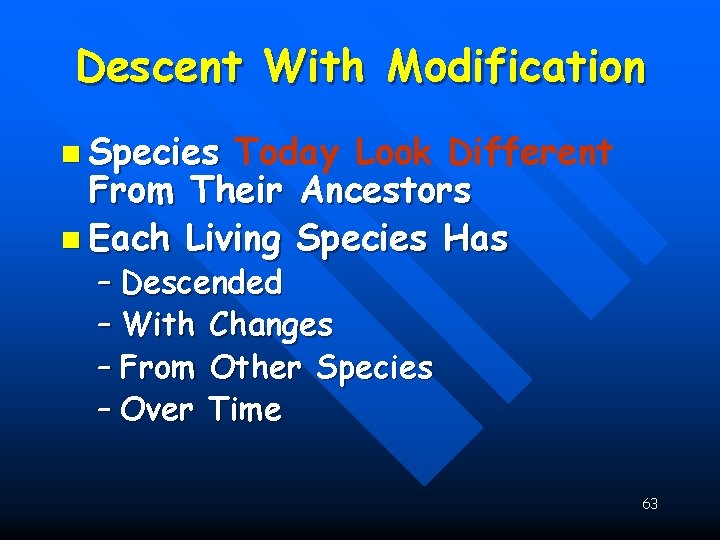 Descent With Modification n Species Today Look Different From Their Ancestors n Each Living