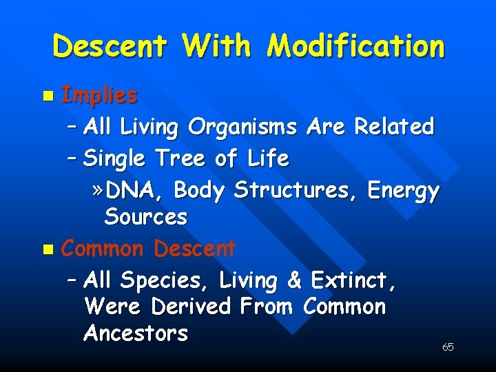 Descent With Modification Implies – All Living Organisms Are Related – Single Tree of