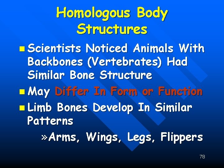 Homologous Body Structures n Scientists Noticed Animals With Backbones (Vertebrates) Had Similar Bone Structure