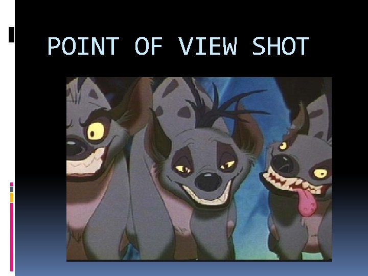 POINT OF VIEW SHOT 