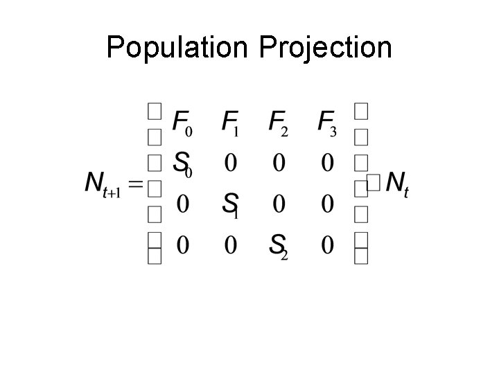 Population Projection 