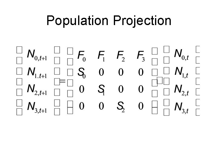 Population Projection 