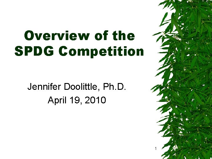 Overview of the SPDG Competition Jennifer Doolittle, Ph. D. April 19, 2010 1 