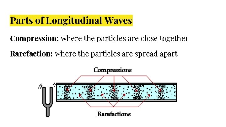 Parts of Longitudinal Waves Compression: where the particles are close together Rarefaction: where the