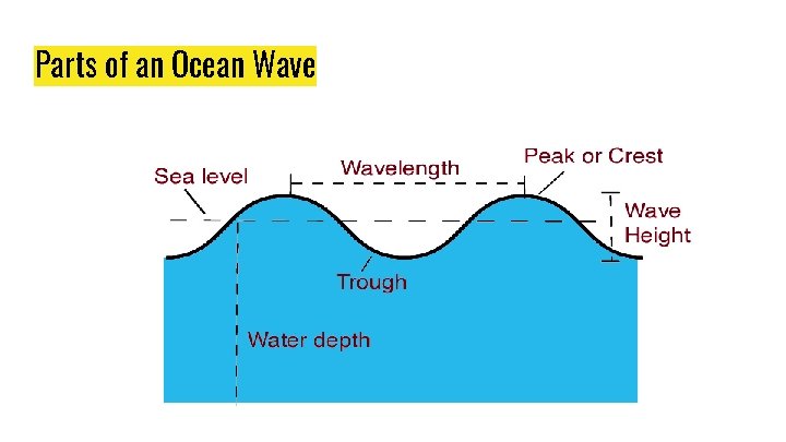 Parts of an Ocean Wave 
