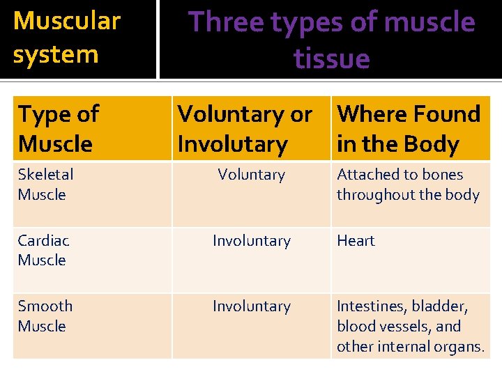 Muscular system Type of Muscle Three types of muscle tissue Voluntary or Where Found