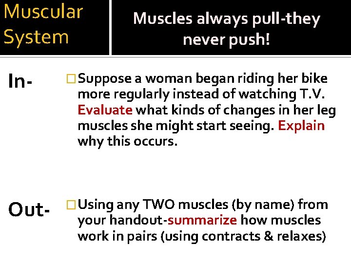 Muscular System Muscles always pull-they never push! In- �Suppose a woman began riding her