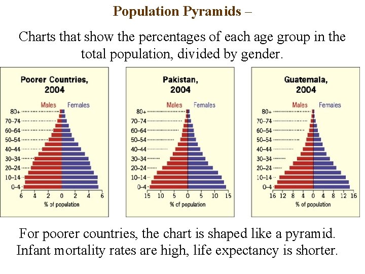 Population Pyramids – Charts that show the percentages of each age group in the