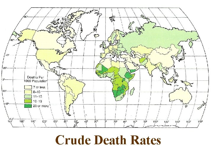 Crude Death Rates 