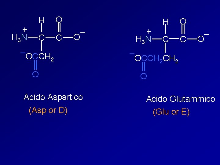 + H 3 N H C O C – OCCH 2 O Acido Aspartico