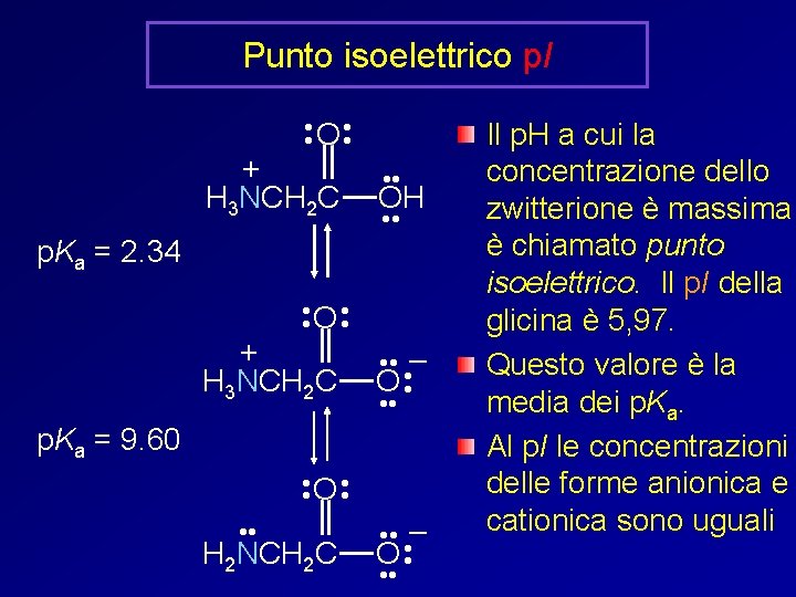 Punto isoelettrico p. I • • O • • + H 3 NCH 2