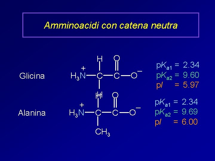Amminoacidi con catena neutra Glicina Alanina + H 3 N H O C C