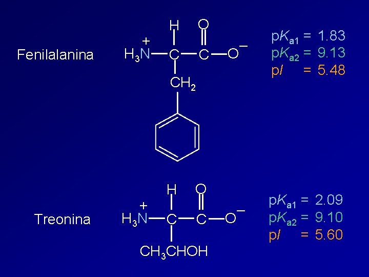 Fenilalanina + H 3 N O H C C – O p. Ka 1